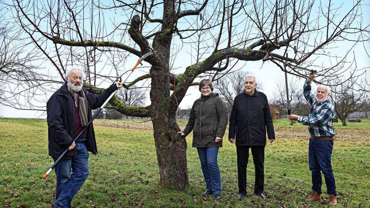 Obst- und Gartenbauer feiern erste 100 Jahre: Ein eigener Obstbaum zur Hochzeit