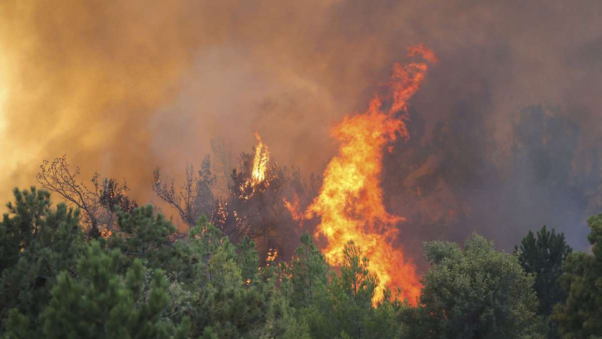 Waldbrände in Algerien, Griechenland und Italien: Diese Regionen im  Mittelmeerraum waren oder sind betroffen