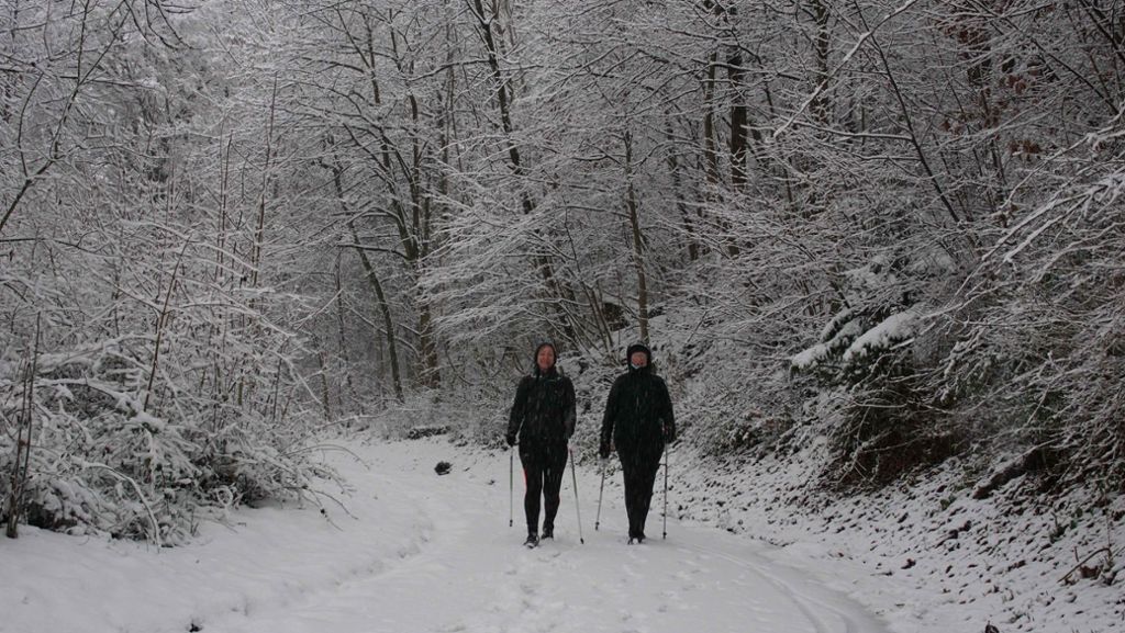 Wetter in Stuttgart: Warnung vor Schneebruch