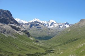 Die Alpen ergrünen im Klimawandel