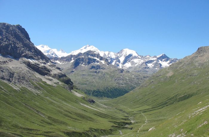 Klimawandel in den Alpen: Die Alpen ergrünen im Klimawandel
