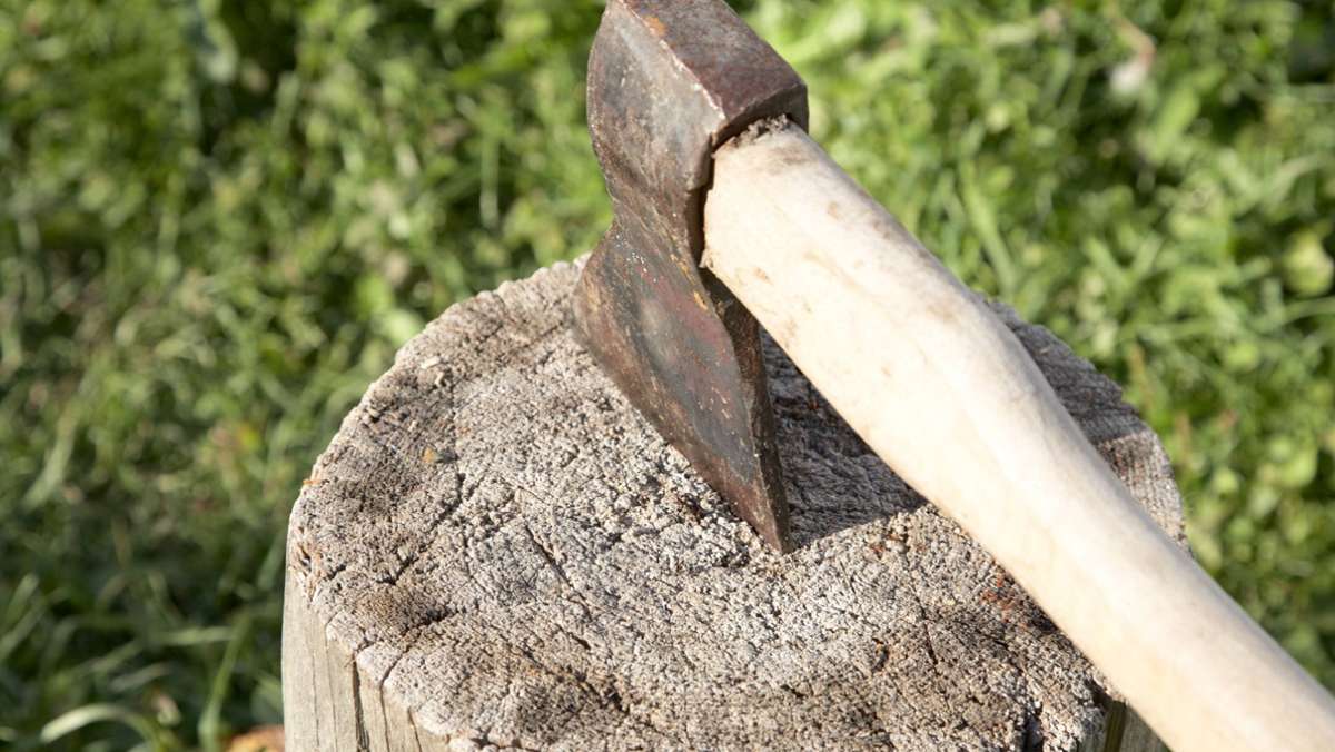 Kurioser Vorfall in Oberfranken: Holzfäller wirft mit Baumstämmen um sich