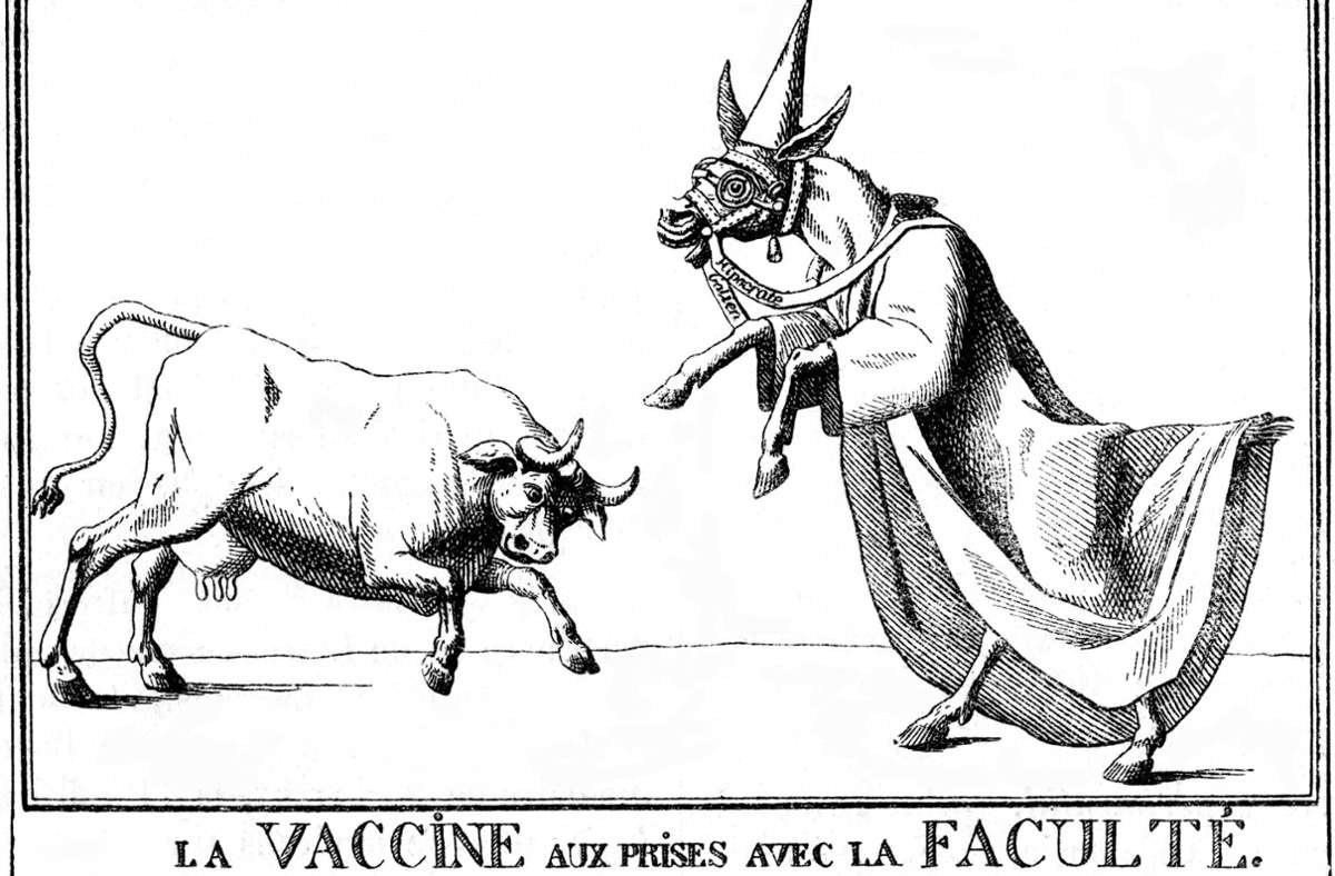 Kuh gegen Esel im wissenschaftlichen Gewand: französische Radierung aus dem 19. Jahrhundert.