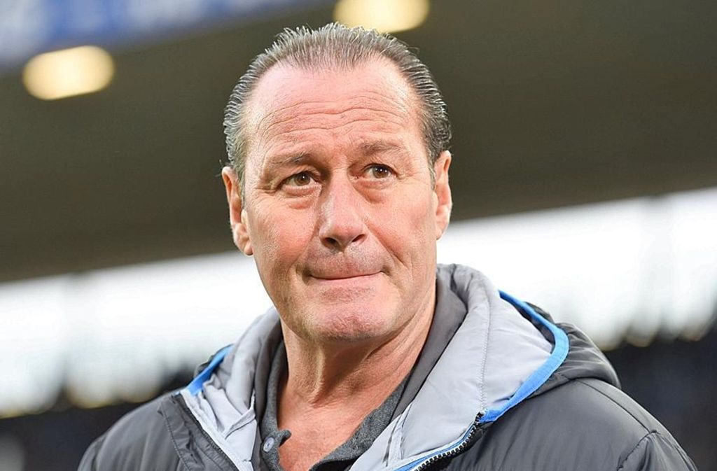 Am 26. Oktober 2015 übernahm Stevens die abstiegsbedrohte TSG 1899 Hoffenheim – allerdings weniger erfolgreich als in Stuttgart. Am 10. Februar 2016 trat er aufgrund von Herzrhythmusstörungen zurück. Seitdem hält sich der 64-Jährige zurück, ist seit Juni 2018 Aufsichtsratsmitglied des FC Schalke 04.