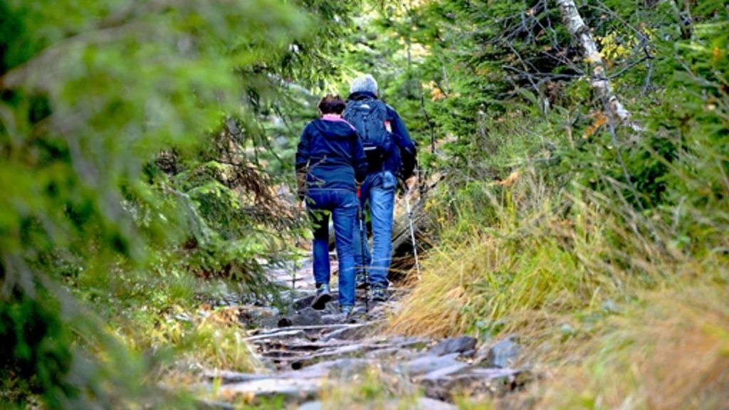 Nationalpark  Nordschwarzwald: Kritik an „Bürgernationalpark“