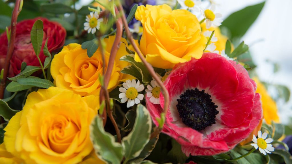 Nürnberg: Kranführer belästigt Frau mit Blumenstrauß auf Balkon