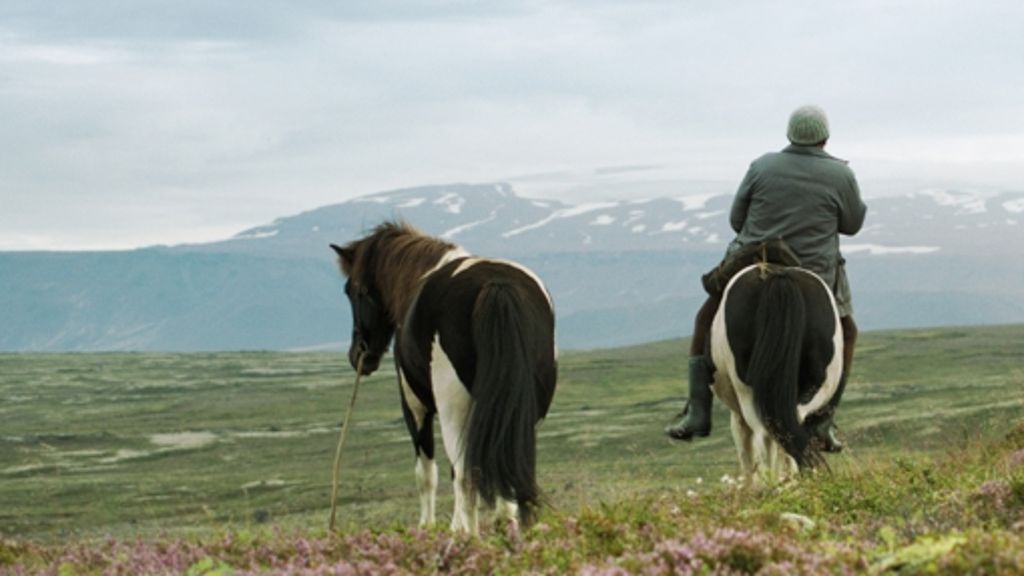 Island-Film: „Von Menschen und Pferden“: Hart zu Tier und Nachbar