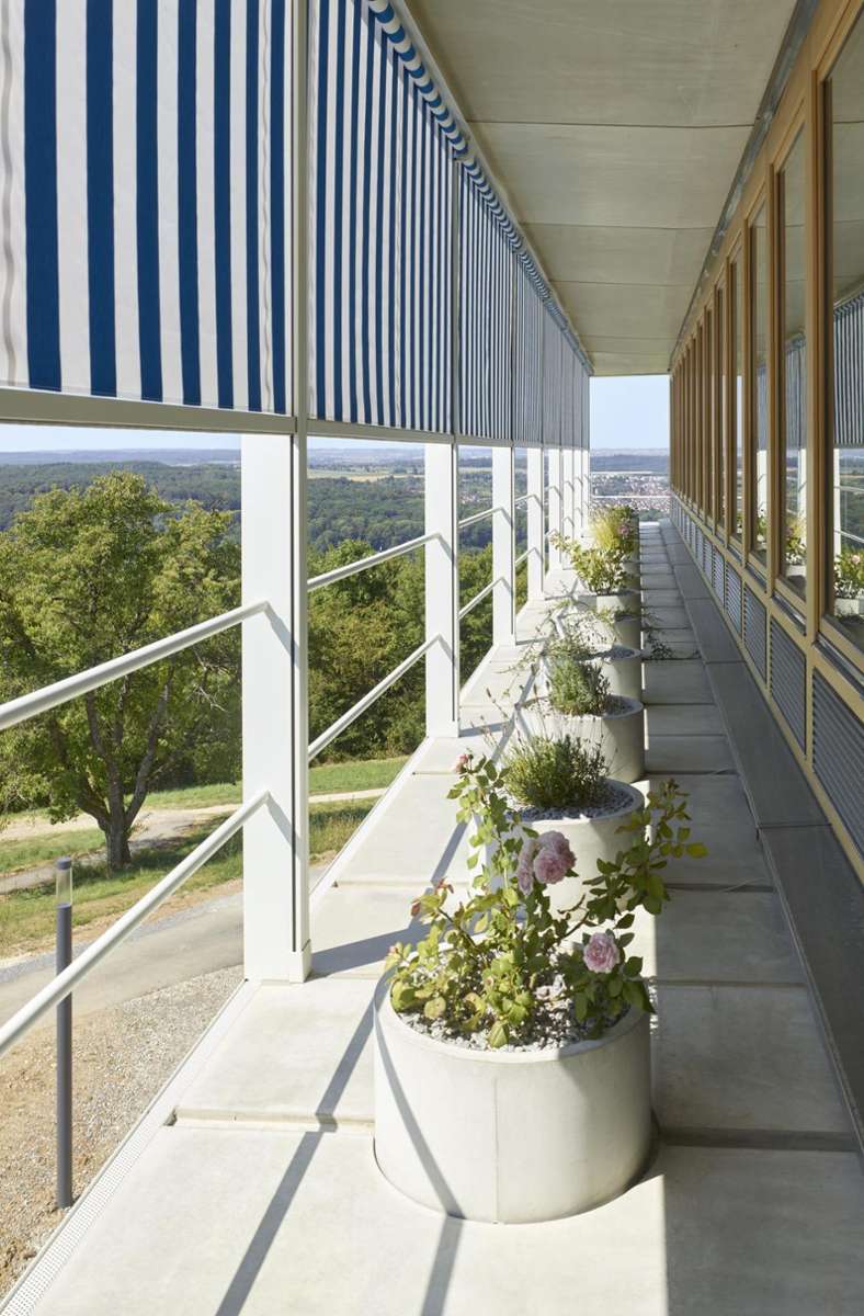 400 runde Kübel mit automatisch bewässerten Pflanzen vor den Fenstern sollen für eine begrünte Fassade sorgen.