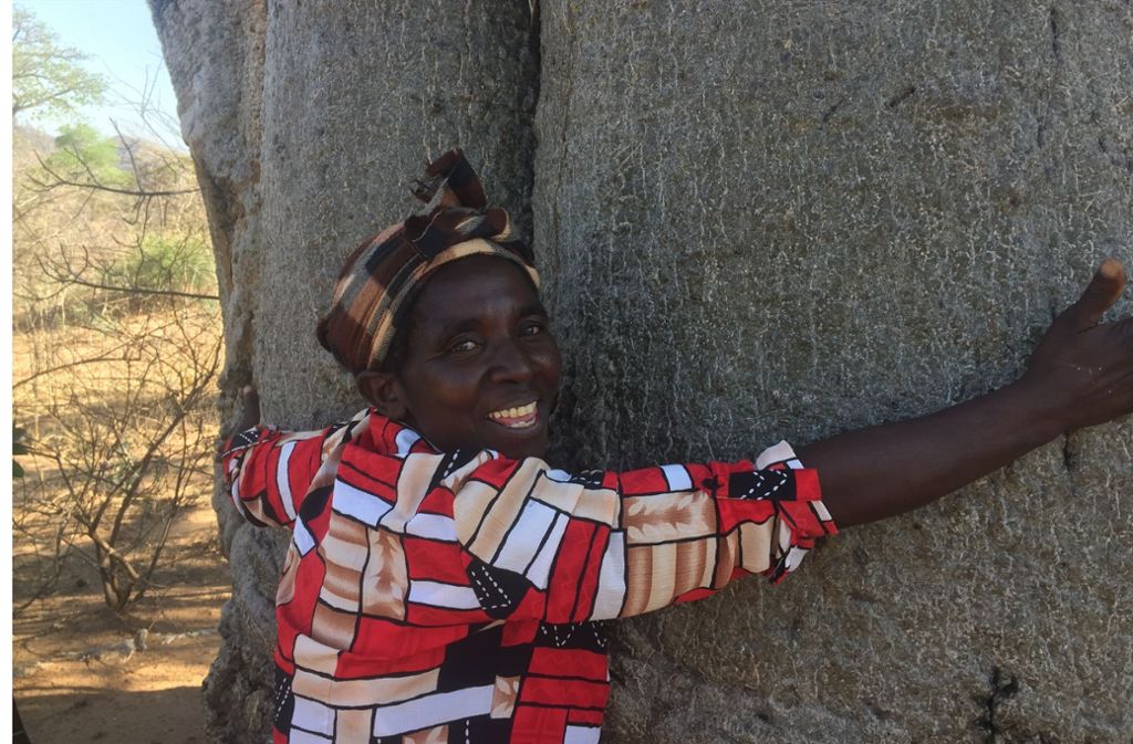 Seit sie Baobab-Früchte sammelt, hat Esther Kathumba ein geregeltes Einkommen. Dank der finanziellen Unterstützung der Bonner Welthungerhilfe kann die Ernte von einer kleinen malawischen Hilfsorganisation aufgekauft werden.