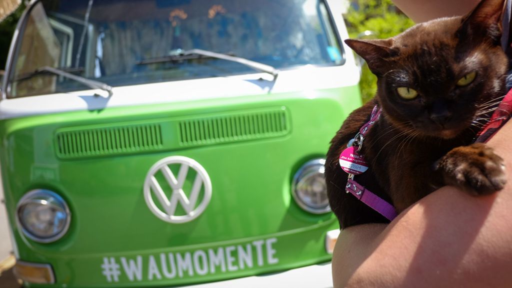 „Wau-O-Mat“: Hunde-Selfies im Stuttgarter Biergarten