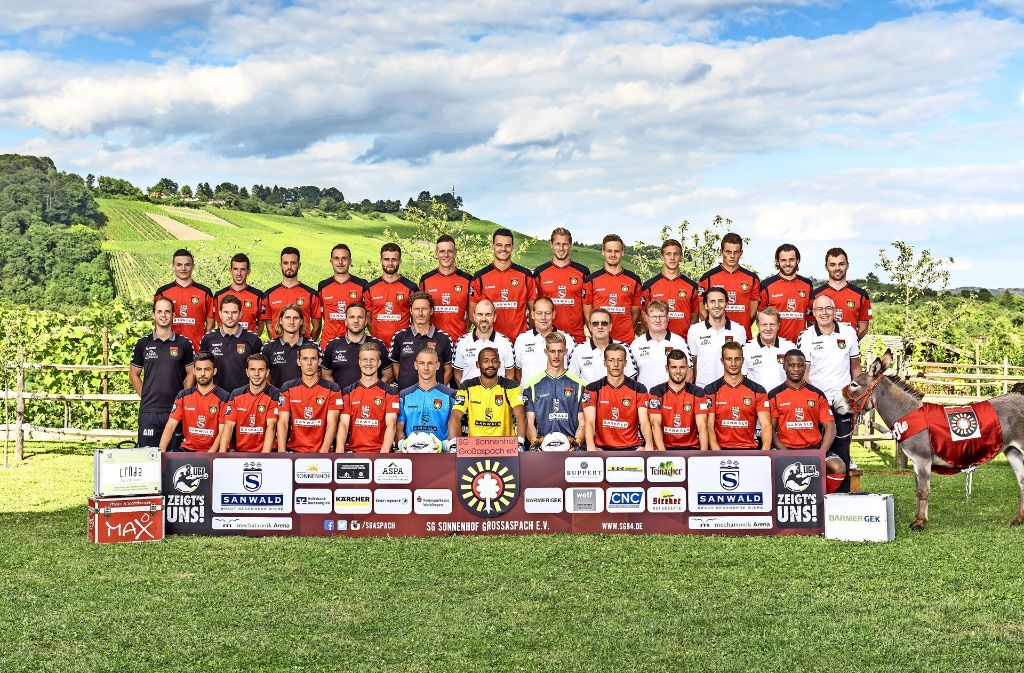 So sieht ein stolzer Dorfklub aus: das offizielle Mannschaftsfoto der SG Sonnenhof Großaspach mit dem Maskottchen Dorfesel Andile. Foto: SG94