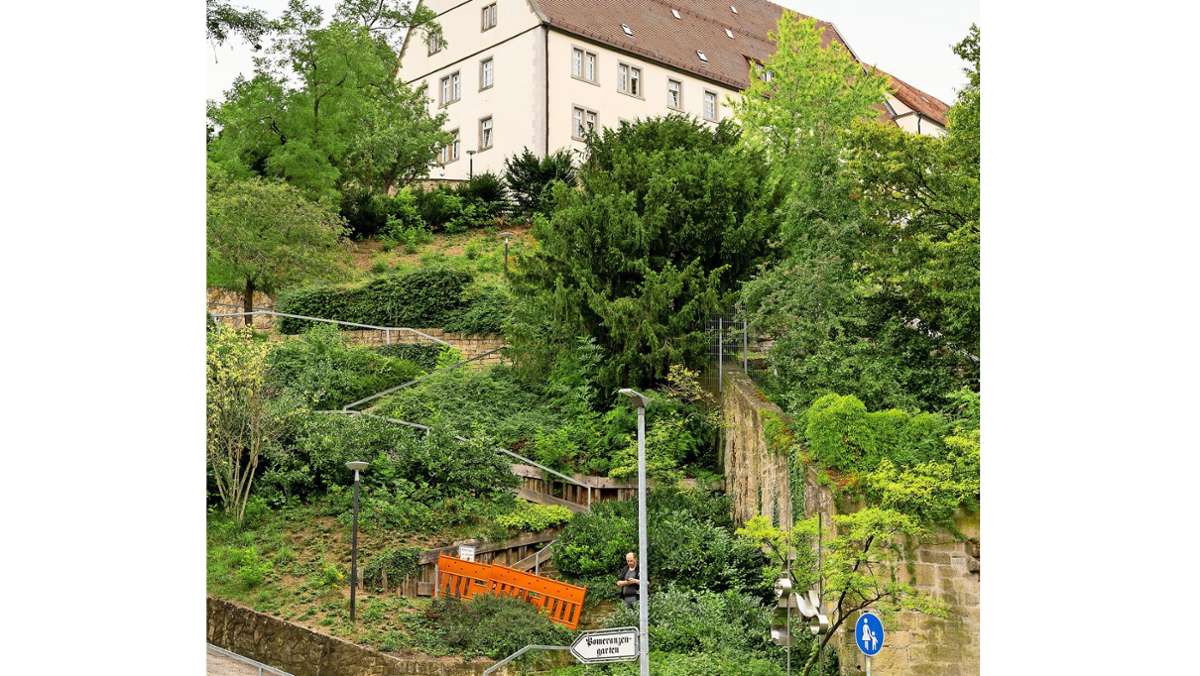Gartendenkmal in Leonberg: Ein neuer Zugang zum Pomeranzengarten