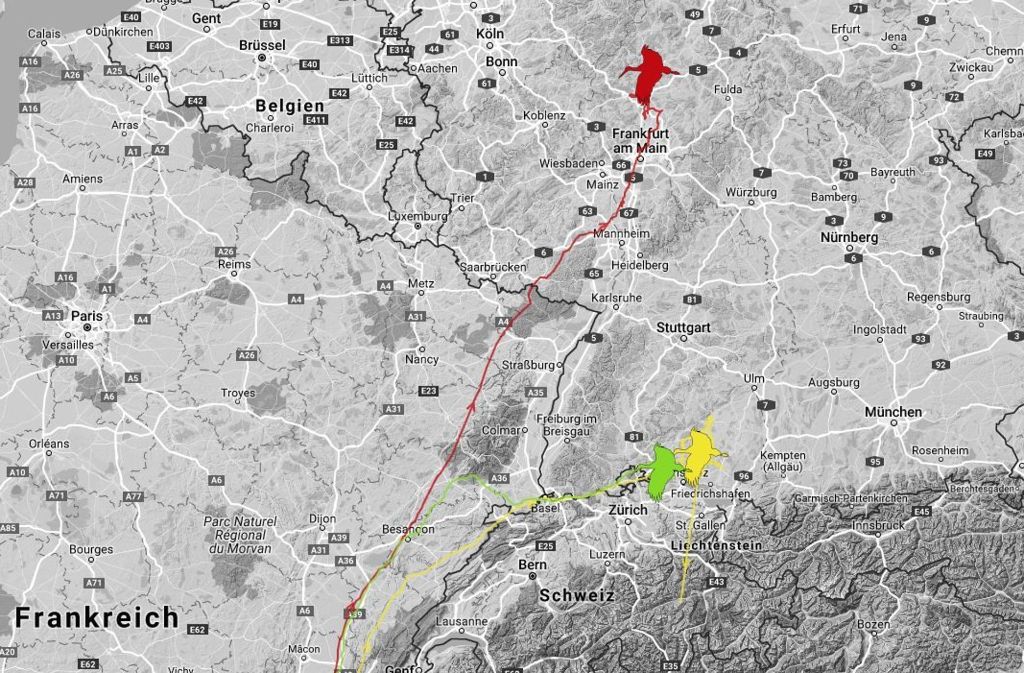 Aus unserer Livekarte konnten wir entnehmen, dass Libi (rote Linie) sich nach Nordhessen verirrt hatte ...
