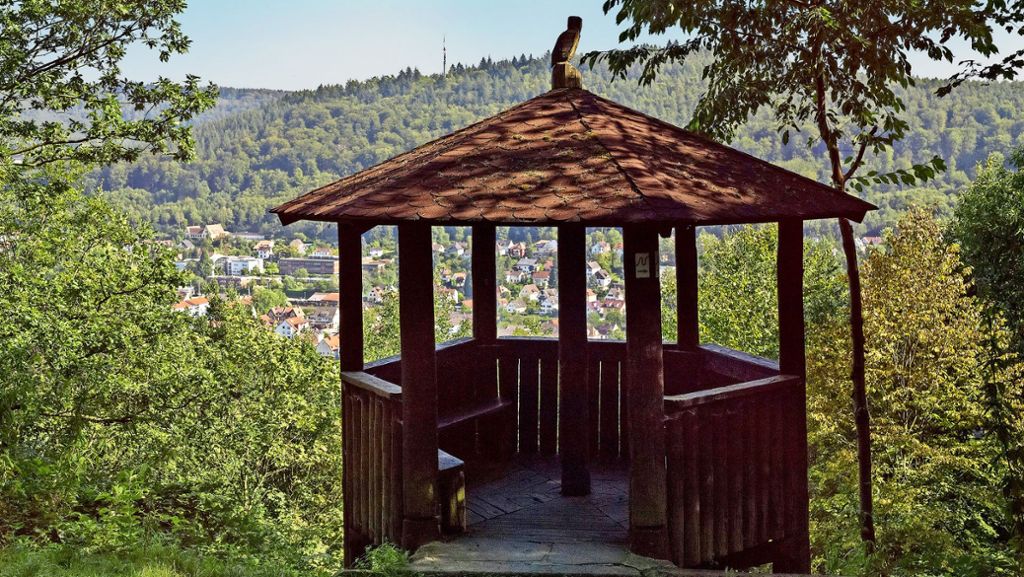 Waldhauptstadt Heidelberg: Ideal für Wanderer, Jogger und Biker