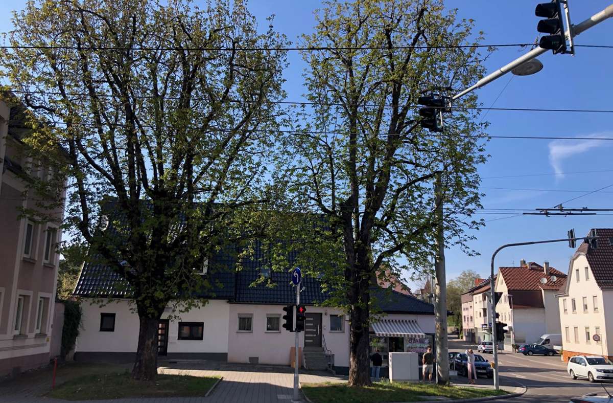 An die alte Stadtmitte von Oberesslingen an der Schorndorfer Straße erinnern nur noch zwei stattliche Kastanienbäume.