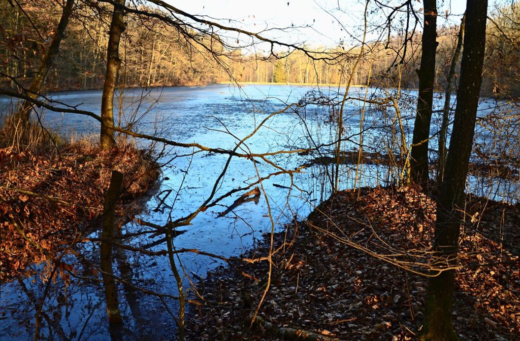 Der Katzenbachsee gehört der EnBW-Tochter Netze BW, die Fischereirechte gehören dem Land. Auch dadurch ist der Kauf  für Anglervereine uninteressant. Foto: Sandra Hintermayr