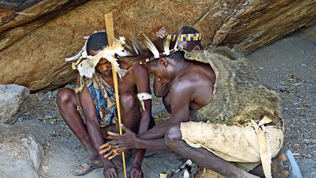 Reise nach Tansania: Die Macht des Pavians