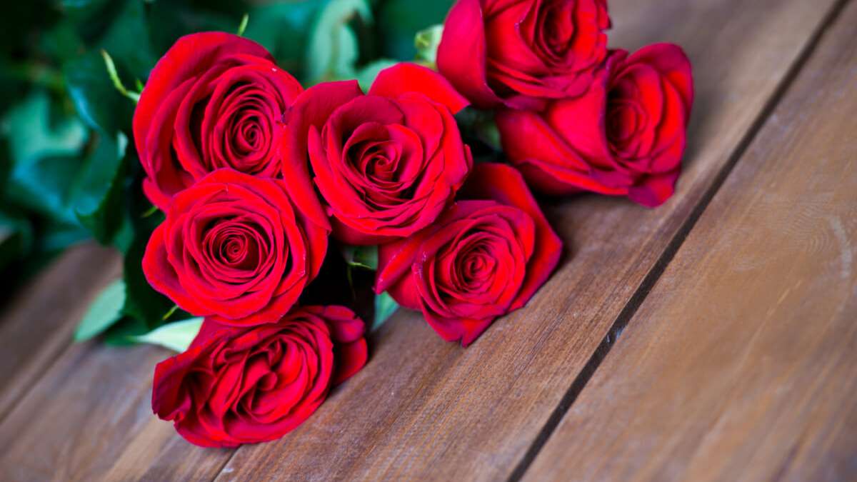 Geburtstag zum rote rosen Rosen zum