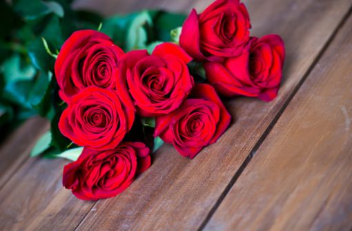 Die Rosen-Anzahl spielt eine wichtige Rolle für die Botschaft. Alles über die Bedeutung der Anzahl von Rosen als Geschenk.