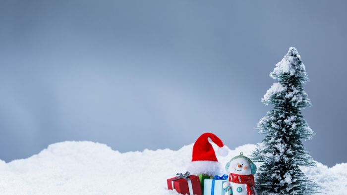Alternative zum Weihnachtsbaum: Die 10 besten Ideen