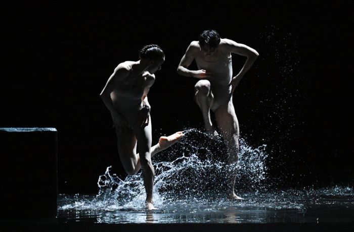 Stuttgarter Ballett tanzt „Creations VII-IX“: Vier Choreografen am Wendepunkt
