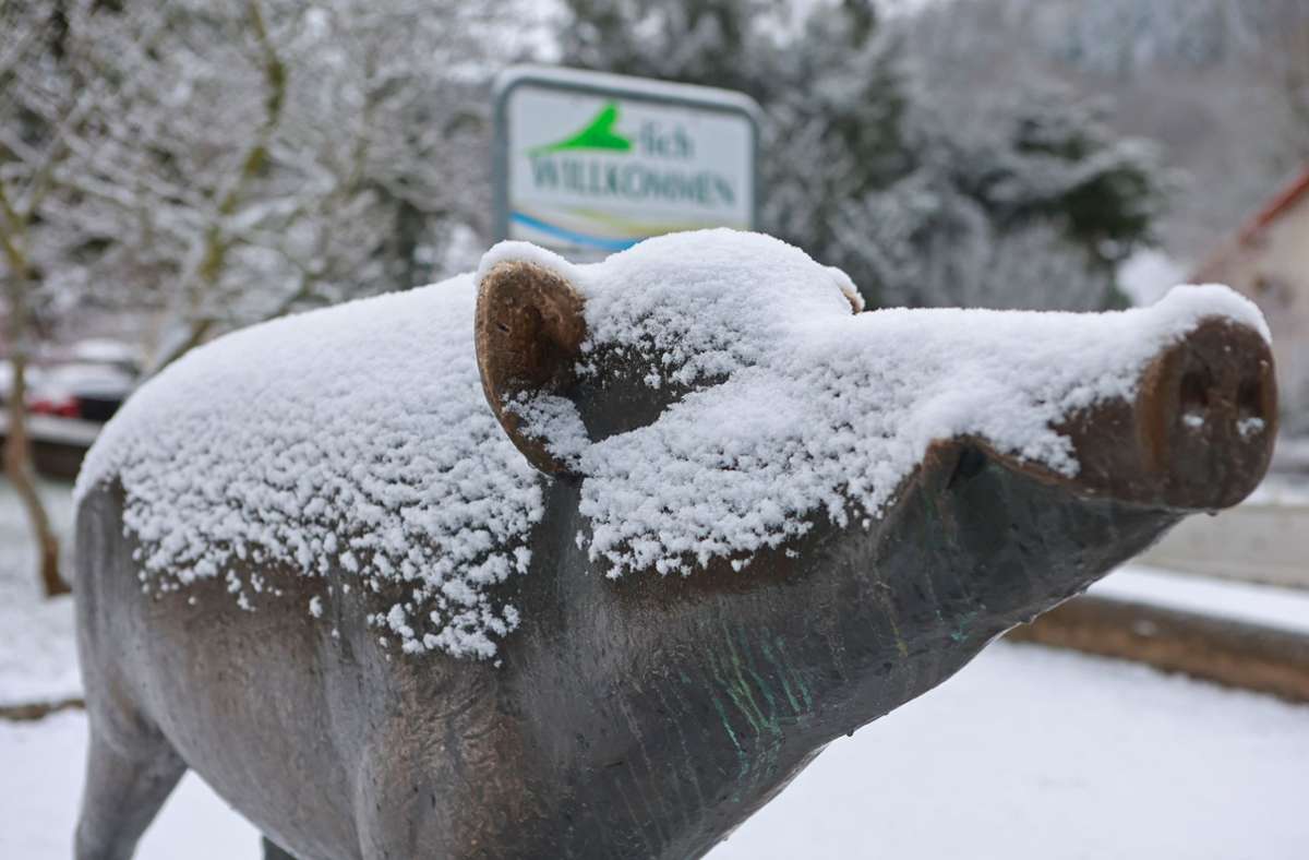 Eine Wildschweinfigur ist mit Schnee bedeckt.