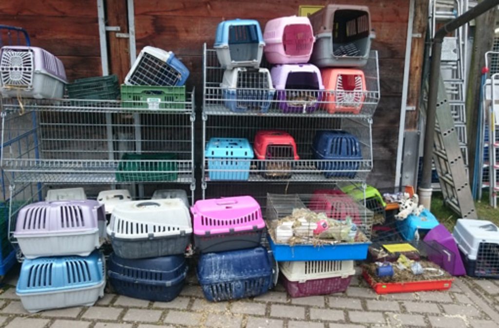 In diesen Transportboxen hausten die über 100 Kaninchen, die die Polizei in der völlig heruntergekommenen Wohnung einer Frau in Stuttgart-Ost entdeckt hat.