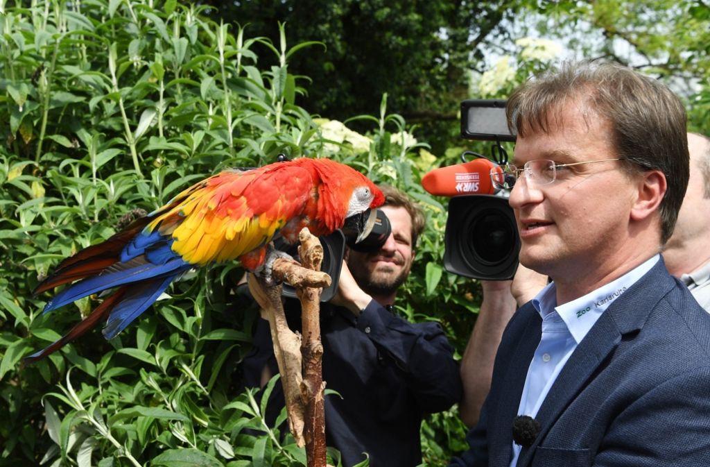 Zoodirektor Matthias Reinschmidt begrüßte den farbenfrohen Neuankömmling vor zahlreichen Medienvertretern.