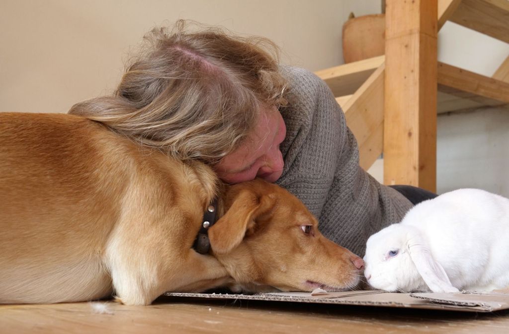 Bei Paula Rösch in Münster versteht sich Kaninchen Cosmea bestens mit Hund Sölvie.