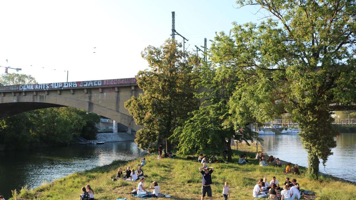 Neckarinsel in Stuttgart: Werden wir irgendwann im Neckar baden können?