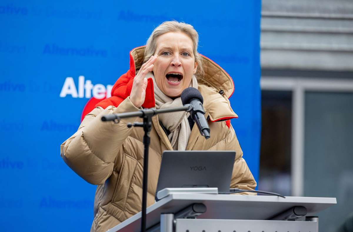 Die AfD-Parteichefin Alice Weidel