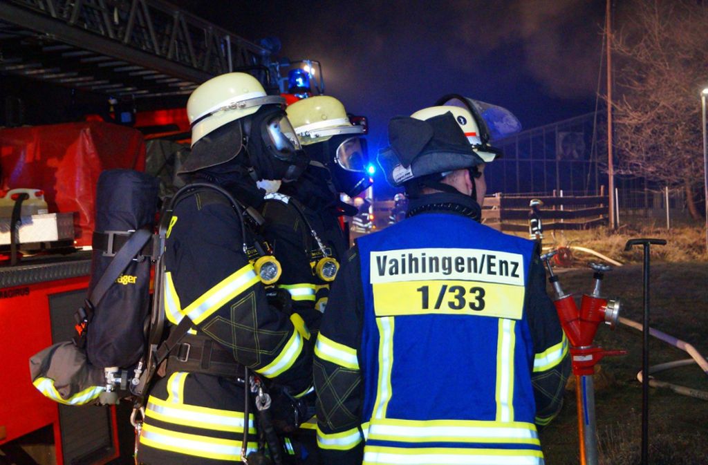Um den Flammen Herr zu werden, bündelten die Feuerwehren Vaihingen, Bietigheim und Ludwigsburg ihre Kräfte.