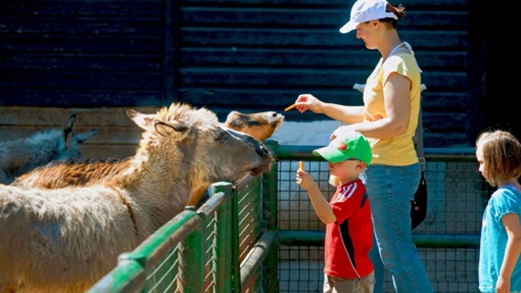 Tierpark Göppingen: Geheime Studie votiert für Umzug