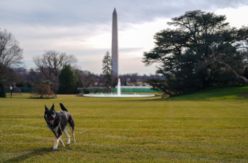 Major erkundet den „South Lawn“, den Garten des Weißen Hauses. Foto: dpa/Adam Schultz