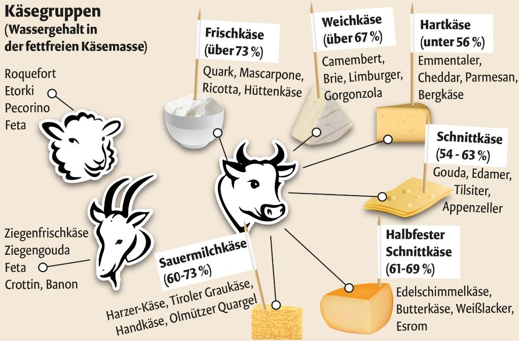 Käse wird in verschiedene Gruppen eingeteilt