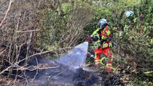 Heckenbrand in Leonberg: Anwohner verhindert Schlimmeres