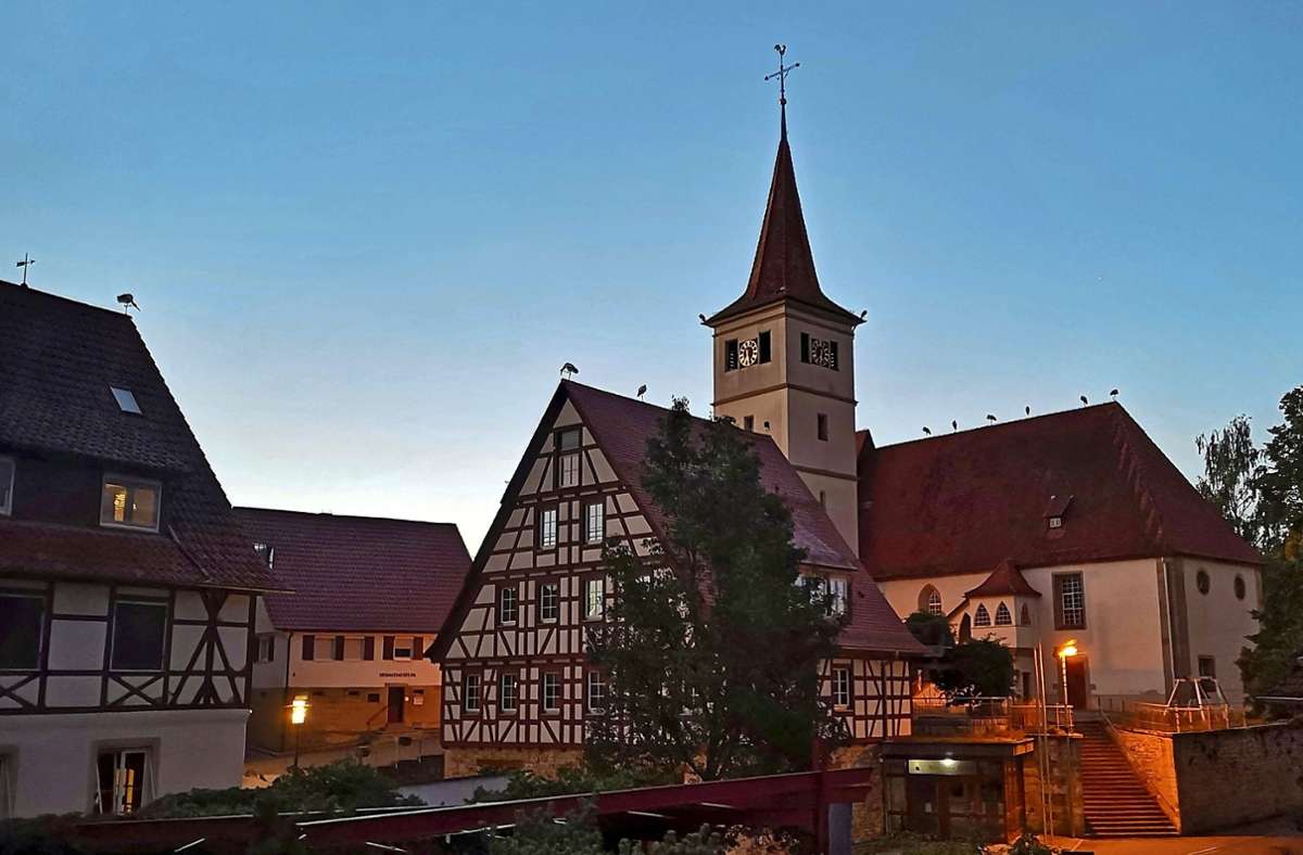 Meister Adebar zur Blauen Stunde in Altdorf: Störche machen Zwischenstation auf dem Dach der Evangelischen Kirche.