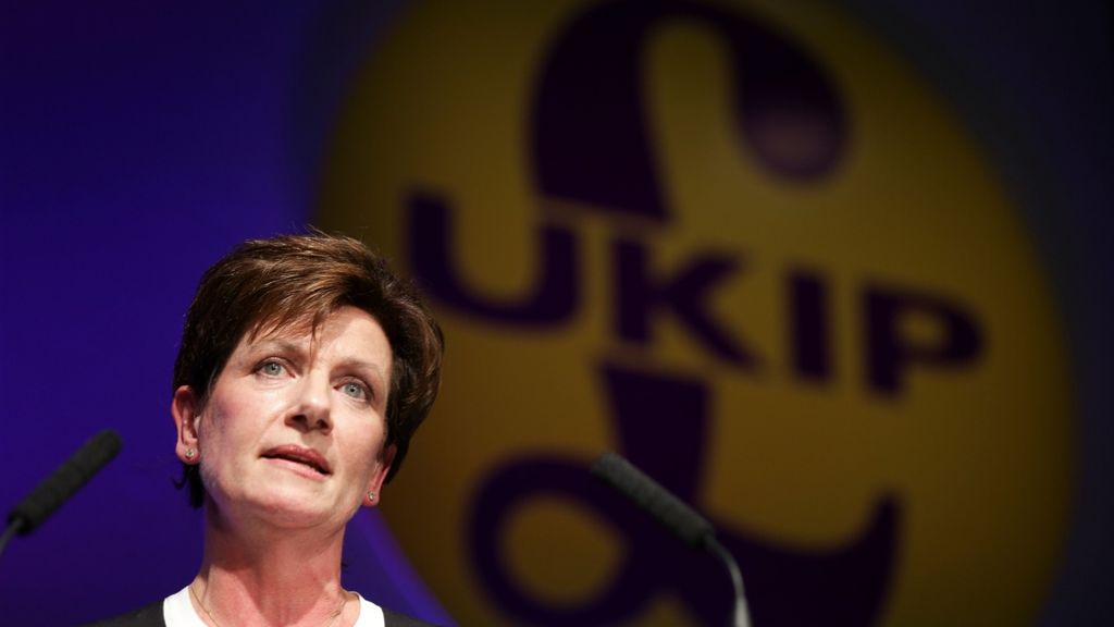 Rücktritt der Ukip-Chefin Diane James: Eine Partei ohne Aufgabe