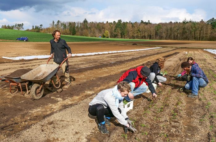 Genossenschaftliche Landwirtschaft: Omas Acker   wird solidarisch bewirtschaftet