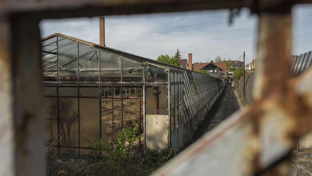 Hiobsbotschaft für Ludwigsburg: Asbestsanierung kostet drei Millionen Euro