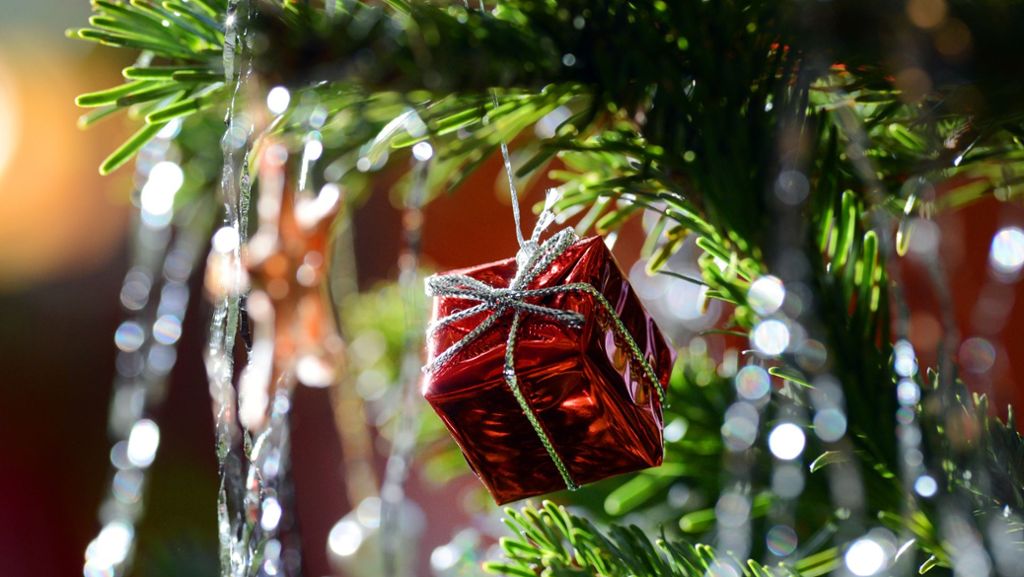 Einen Monat nach Weihnachten: Tannenbaum brennt „explosionsartig“