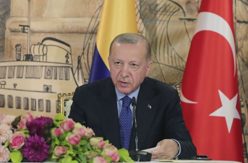 Erdogans politisches sytem bedarf einer „kontrollierte Gesellschaft“. Foto: dpa