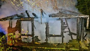 Waldhütte brennt komplett ab – hoher Schaden