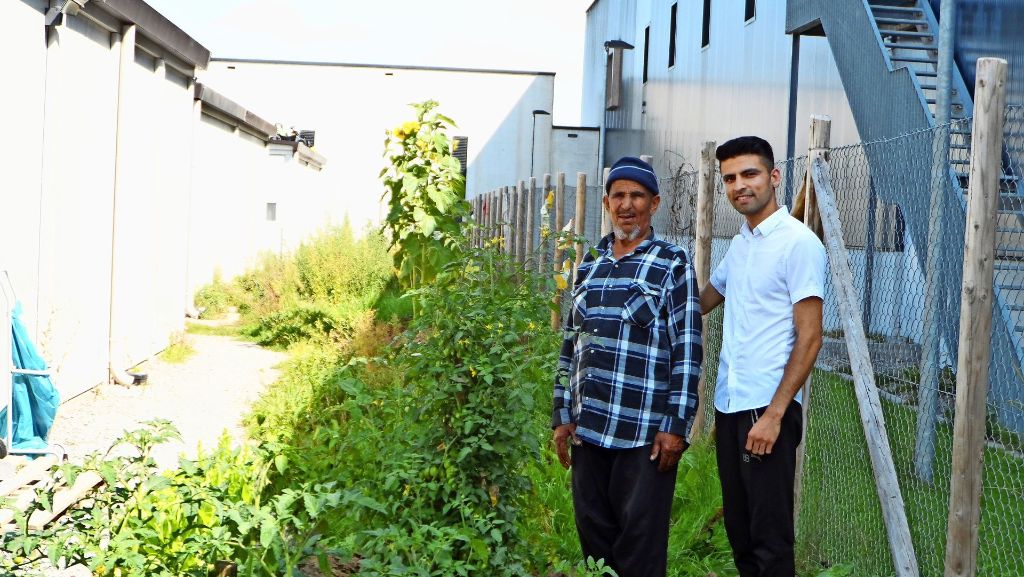 Gartenserie Teil 5: Flüchtlingsheim Steinenbronn: Das Gemüse gedeiht auf einem schmalen Streifen