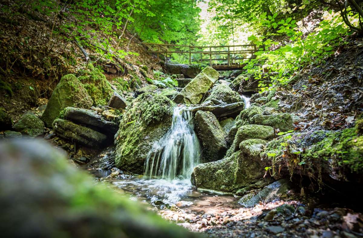 Auch die Natur bietet in Stuttgart einiges an Romantik: Die Heslacher Wasserfälle lassen sich in der Heidenklinge im Osten der Stadt bestaunen. Wer sich also nicht scheut, eine Wanderung zu unternehmen, kann sein Date an diesem verwunschenen Ort verzaubern.