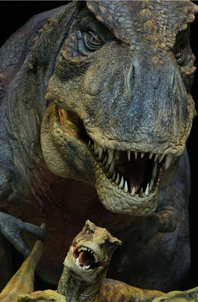 Ende der Dinos: Die jahrelange Abkühlung und Dunkelheit vernichtet sämtliche Wälder, das Plankton in den Weltmeeren verschwindet. Und damit auch die Pflanzenfresser, die ohne Nahrung verhungern, wenn sie nicht schon durch die unmittelbaren Folgen des Meteoriteneinschlags sofort getötet worden sind. Als die Nahrungskette zusammenbricht, verschwinden auch die Fleischfresser – und mit ihnen das größte Raubtier, das jemals auf der Erde gelebt hat: der Tyrannosaurus Rex