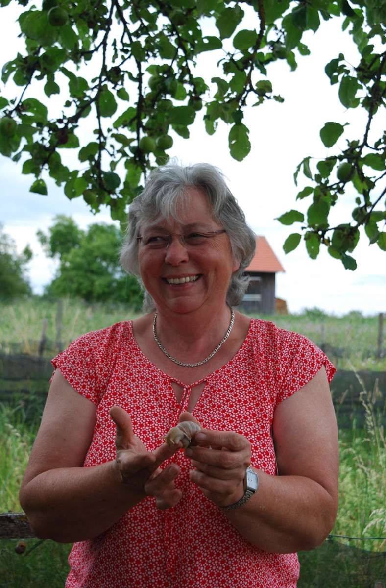 In ihrem Schneckengarten in Rietheim ist Rita Goller ganz in ihrem Element. Hier leben rund 30.000 Albschnecken und futtern sich mit reichlich Grünzeug groß und stark.