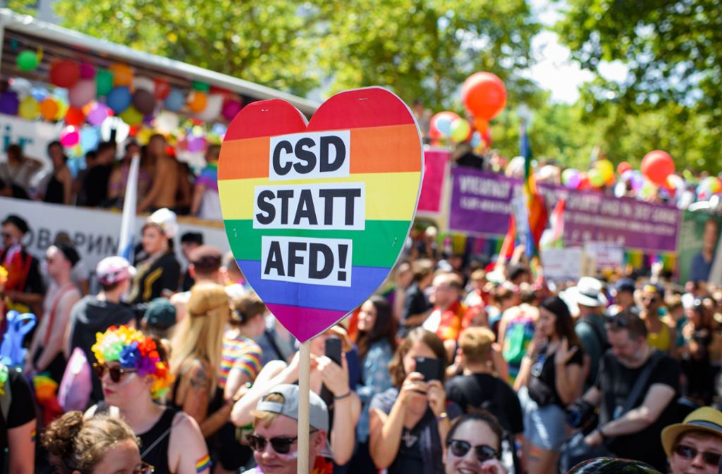 Auf Plakaten forderten Teilnehmer etwa „Liebe ohne Grenzen“ oder „CSD statt AfD“. Die Partei war als offizieller Teilnehmer unerwünscht.