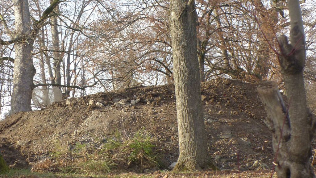 Gutachten  verwechselt: Schlosspark in Stetten praktisch  frei von Arsen