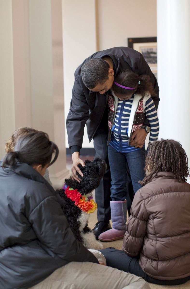 Der Portugiesische Wasserhund war ein Geschenk von Senator Ted Kennedy, selbst ein begeisterter Hundeliebhaber.